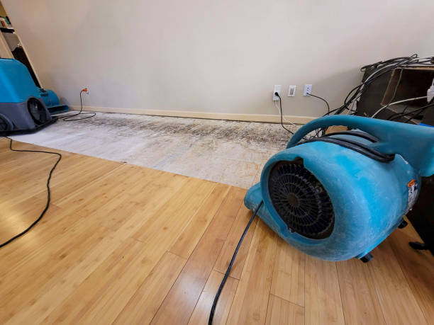 Professional Structural Drying technician working in East Brunswick, NJ